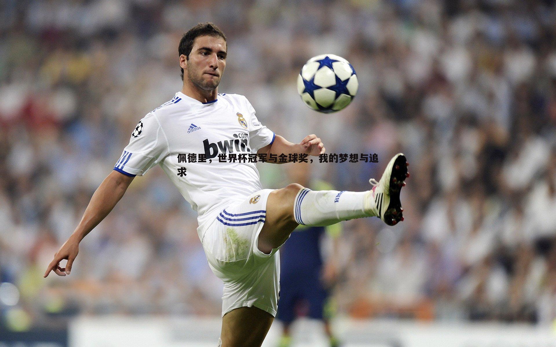 佩德里，世界杯冠军与金球奖，我的梦想与追求